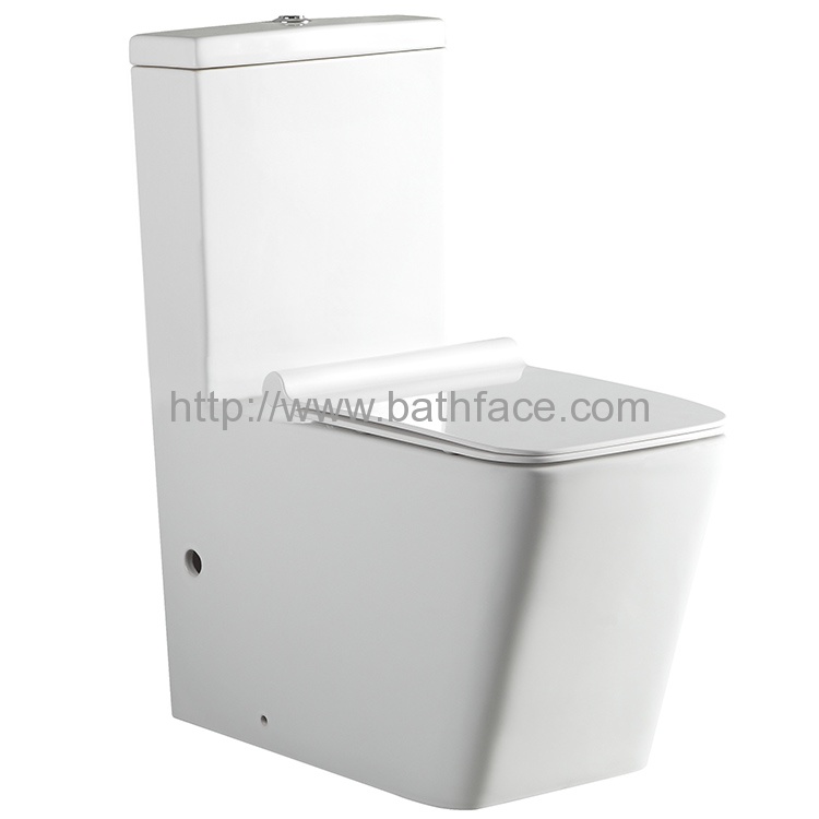 Ceramic Dual Flush One Piece Washdown Toilet
