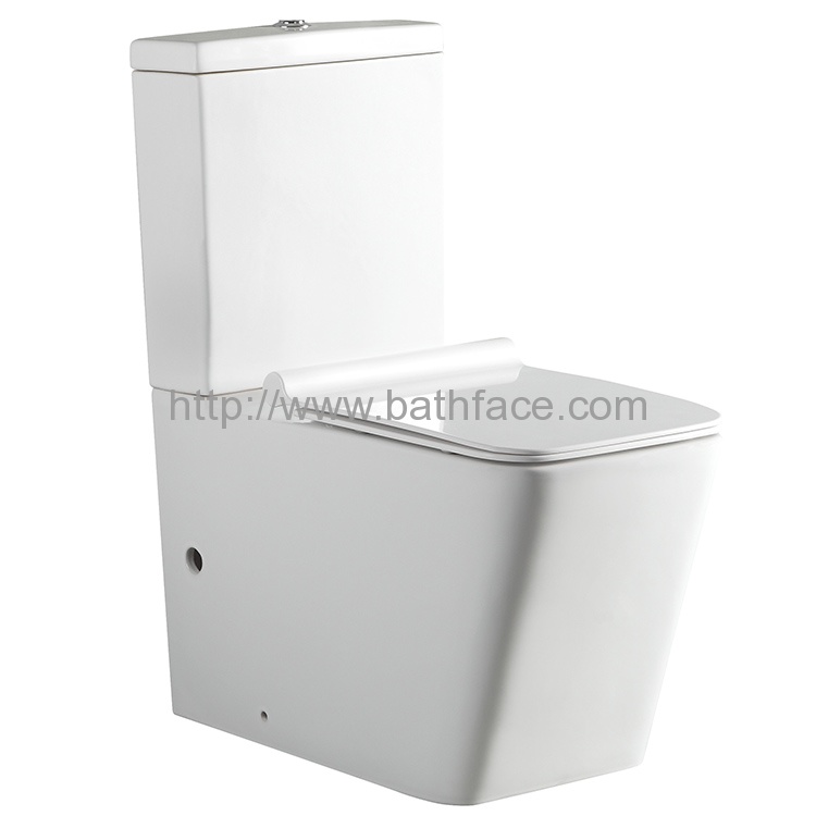 Ceramic Dual Flush Two Piece Washdown Toilet