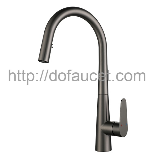 Kitchen Faucet with Concealed Spray