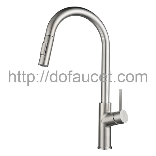 2 Way Spray Kitchen Tap