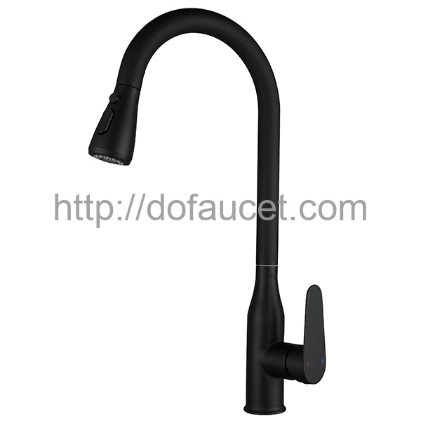 Black Finish Kitchen Faucet