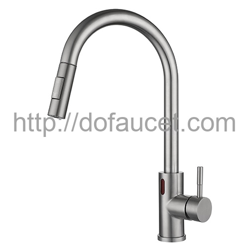 Induction Kitchen Faucet