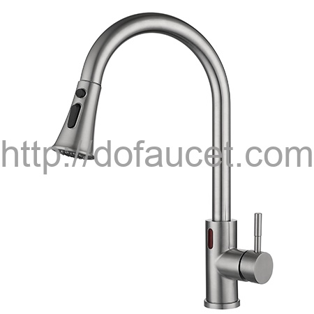 Induction Kitchen Tap
